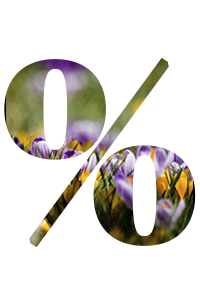 четкий3.png